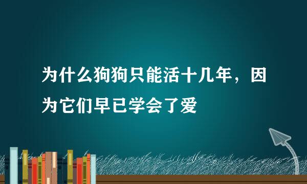 为什么狗狗只能活十几年，因为它们早已学会了爱