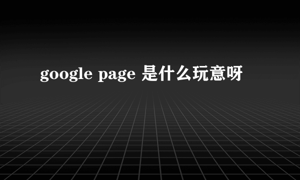 google page 是什么玩意呀