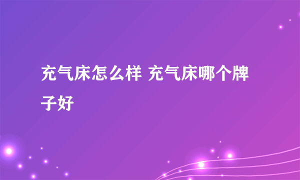 充气床怎么样 充气床哪个牌子好