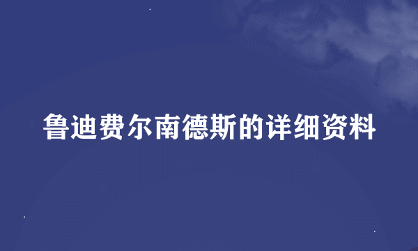 鲁迪费尔南德斯的详细资料