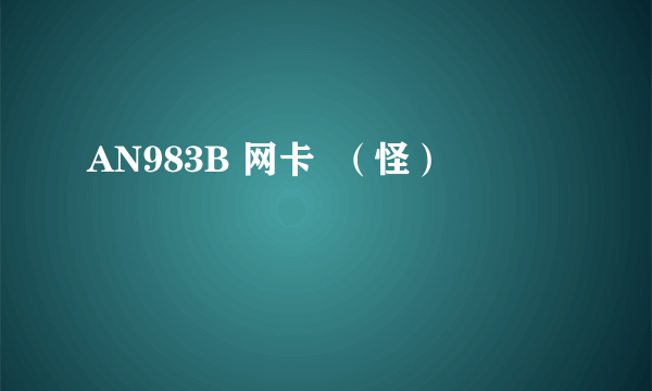 AN983B 网卡  （怪）