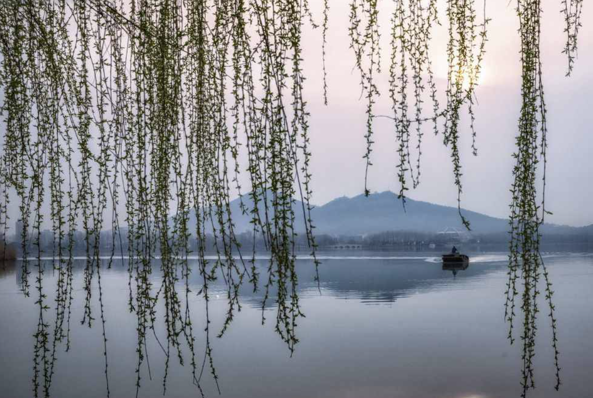 碧玉妆成一树高妆的意思是