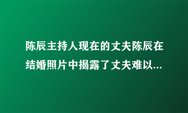 陈辰主持人现在的丈夫陈辰在结婚照片中揭露了丈夫难以置信的事情