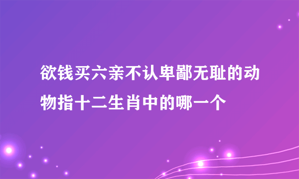 欲钱买六亲不认卑鄙无耻的动物指十二生肖中的哪一个