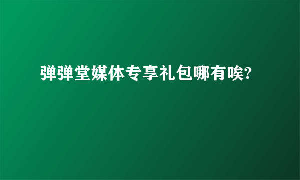 弹弹堂媒体专享礼包哪有唉?