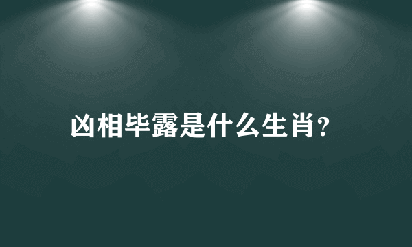 凶相毕露是什么生肖？