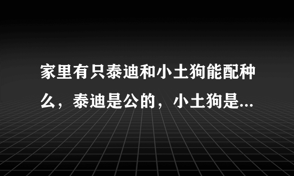 家里有只泰迪和小土狗能配种么，泰迪是公的，小土狗是母的，配出来好看么