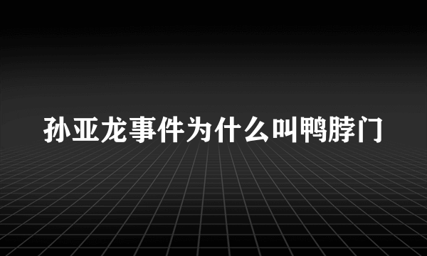 孙亚龙事件为什么叫鸭脖门