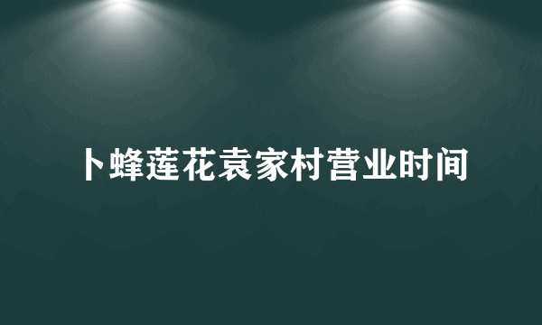 卜蜂莲花袁家村营业时间