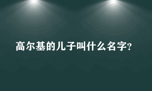 高尔基的儿子叫什么名字？