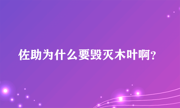 佐助为什么要毁灭木叶啊？