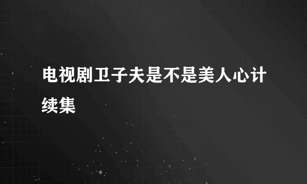 电视剧卫子夫是不是美人心计续集