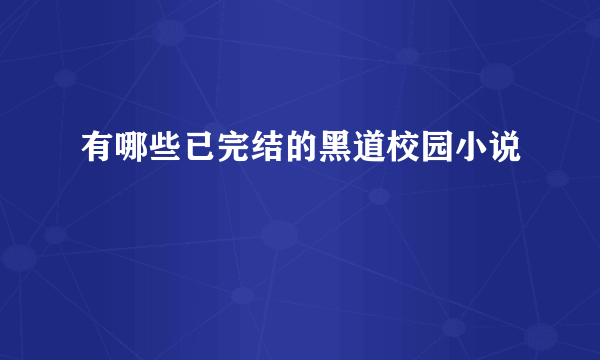 有哪些已完结的黑道校园小说