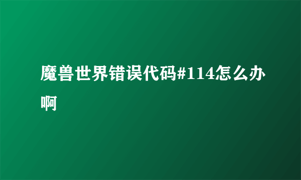 魔兽世界错误代码#114怎么办啊