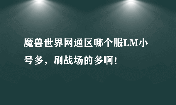 魔兽世界网通区哪个服LM小号多，刷战场的多啊！