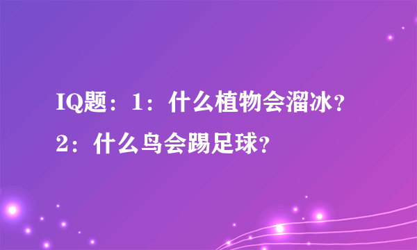 IQ题：1：什么植物会溜冰？2：什么鸟会踢足球？