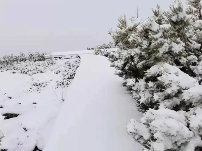 内蒙古通辽大雪楼房一楼被埋，这场大暴雪为何会来的如此猛烈？