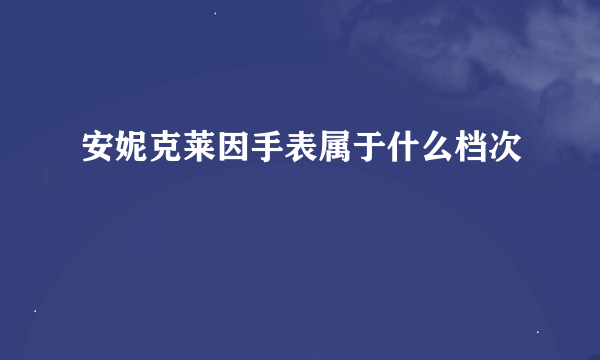 安妮克莱因手表属于什么档次