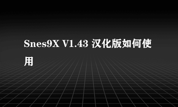 Snes9X V1.43 汉化版如何使用