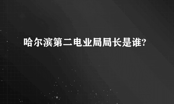 哈尔滨第二电业局局长是谁?