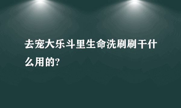 去宠大乐斗里生命洗刷刷干什么用的?