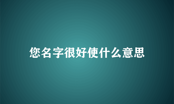 您名字很好使什么意思