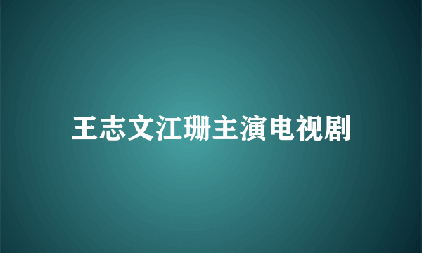 王志文江珊主演电视剧