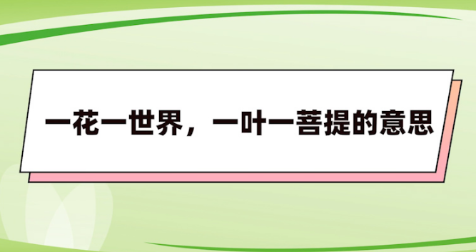 “一花一世界，一叶一菩提”是什么意思？