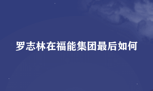 罗志林在福能集团最后如何