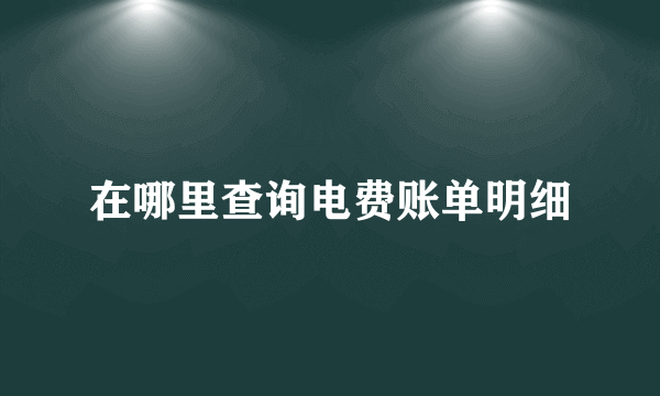 在哪里查询电费账单明细