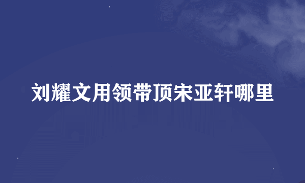 刘耀文用领带顶宋亚轩哪里