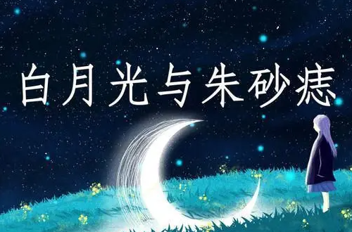 《白月光与朱砂痣》歌词