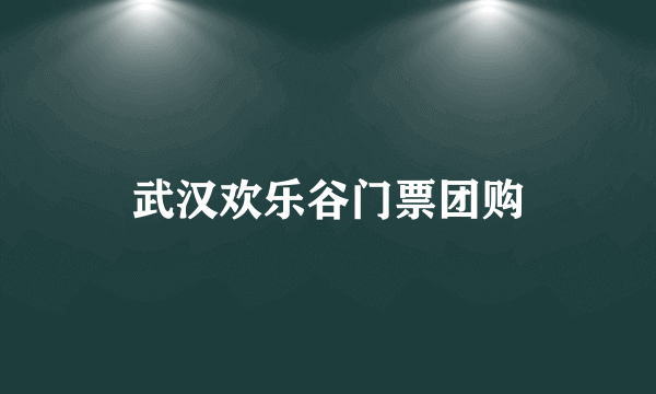 武汉欢乐谷门票团购