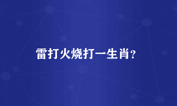 雷打火烧打一生肖？