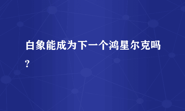 白象能成为下一个鸿星尔克吗?