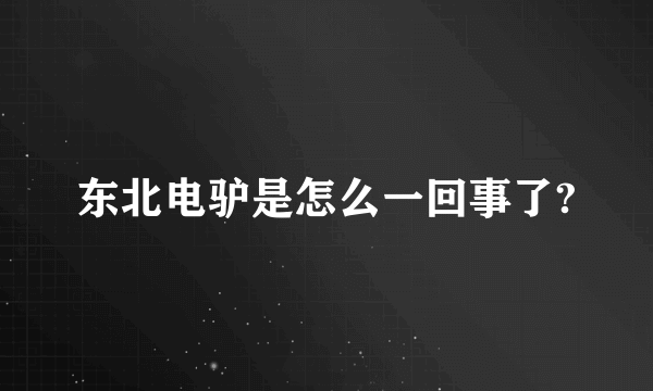 东北电驴是怎么一回事了?