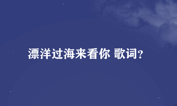 漂洋过海来看你 歌词？