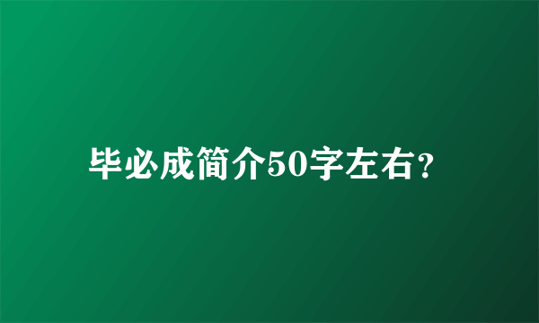 毕必成简介50字左右？