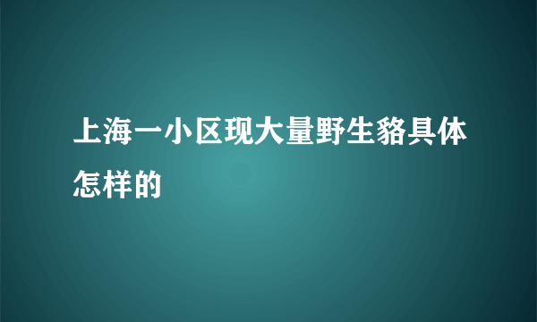 上海一小区现大量野生貉具体怎样的