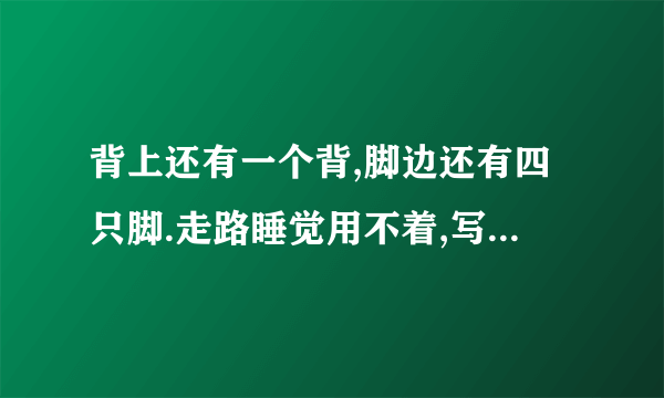 背上还有一个背,脚边还有四只脚.走路睡觉用不着,写字画画要用它.猜一生肖