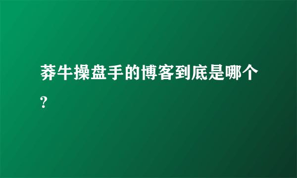 莽牛操盘手的博客到底是哪个?