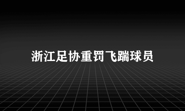 浙江足协重罚飞踹球员