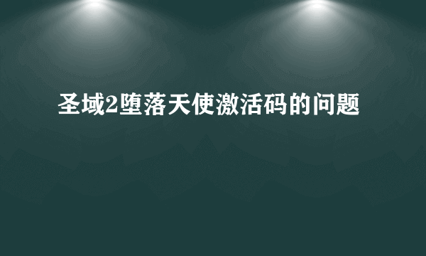 圣域2堕落天使激活码的问题