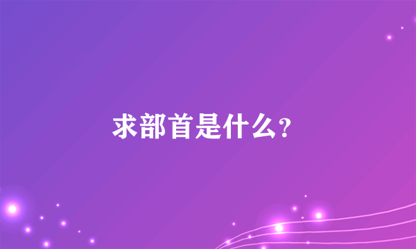 求部首是什么？