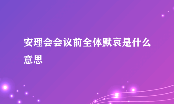 安理会会议前全体默哀是什么意思