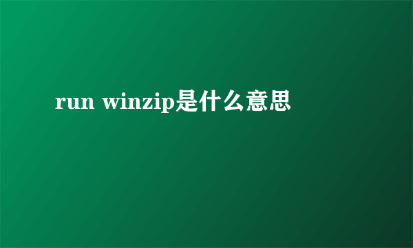 run winzip是什么意思