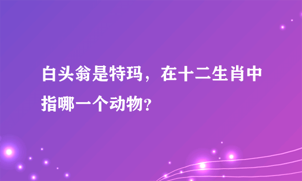 白头翁是特玛，在十二生肖中指哪一个动物？