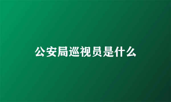 公安局巡视员是什么