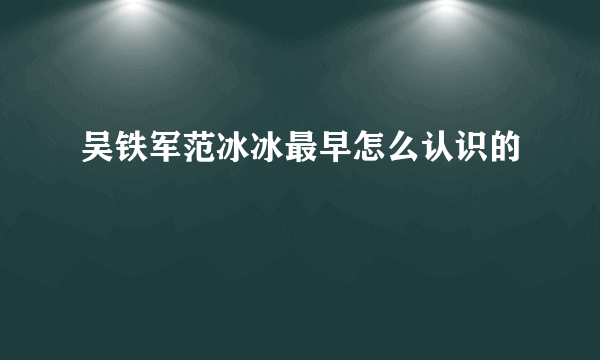 吴铁军范冰冰最早怎么认识的