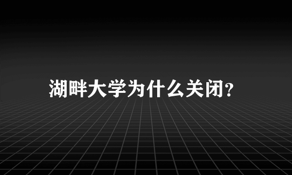 湖畔大学为什么关闭？